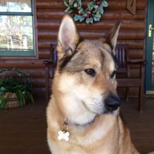 Meet your Posher, Debra